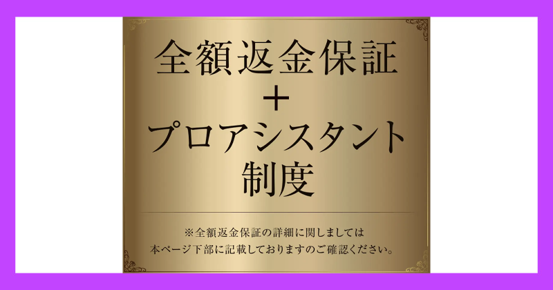 将軍のSHIFT（THE MONEY MAIL プロジェクト）は副業詐欺？