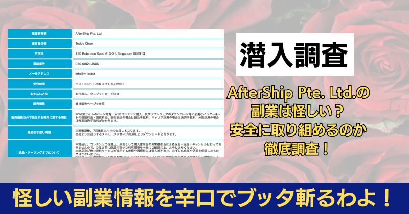 AfterShip Pte. Ltd.の副業は怪しい？安全に取り組めるのか徹底調査！