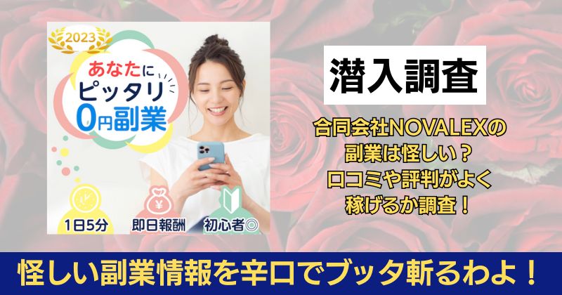 合同会社NOVALEXの副業は怪しい？口コミや評判がよく稼げるか調査！