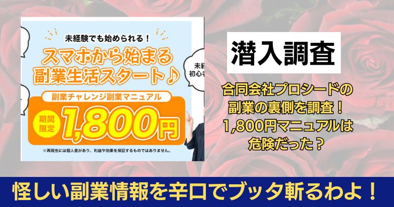 合同会社プロシードの副業の裏側を調査！1,800円マニュアルは危険だった？