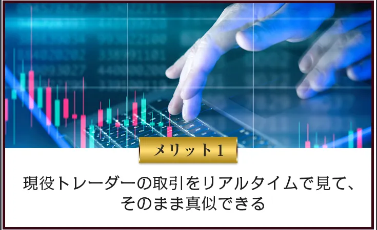 Team一本杉の広告内画像