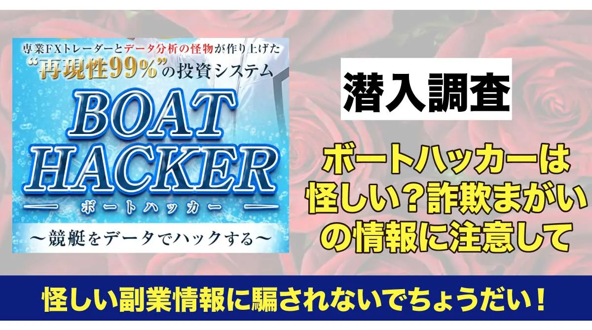 ボートハッカーの広告画像